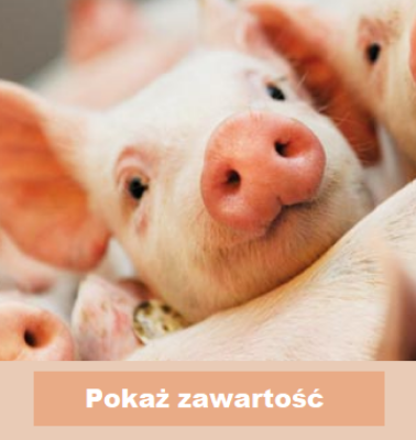 Trzoda chlewna