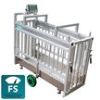 Obrazek Waga MS EasyScale + bluetooth, 300 kg